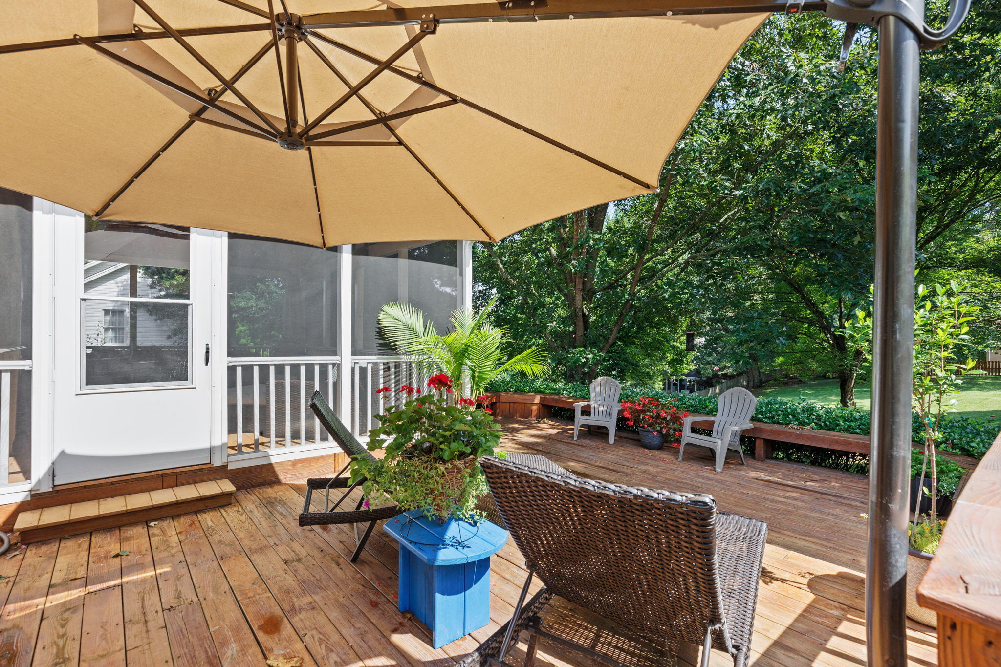 1103 Hillendale Road Gray, TN 37615 - Photo 35 of 46 36-web-or-mls-217A6598