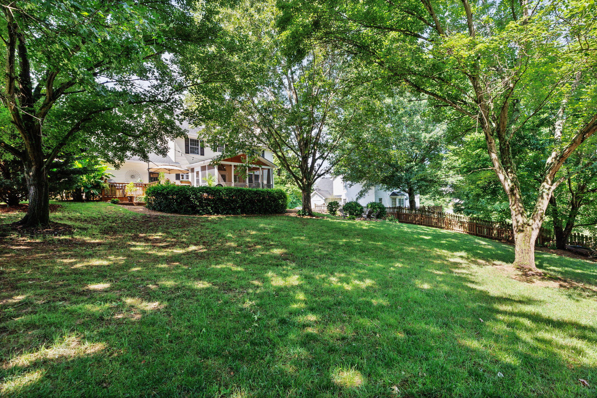 1103 Hillendale Road Gray, TN 37615 - Photo 38 of 46 39-web-or-mls-217A6610