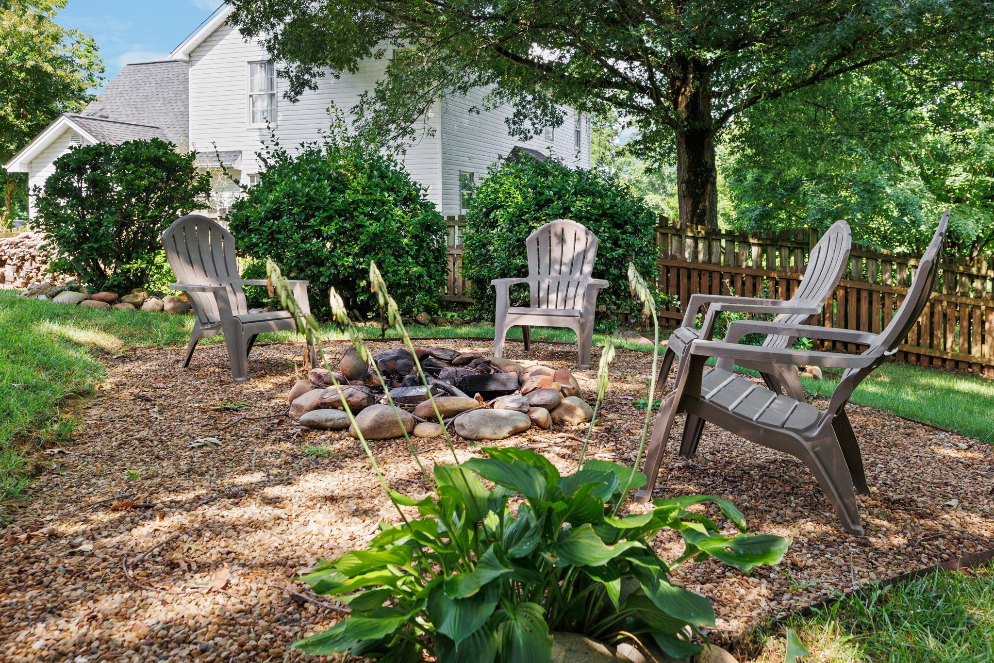 1103 Hillendale Road Gray, TN 37615 - Photo 39 of 46 40-web-or-mls-217A6613