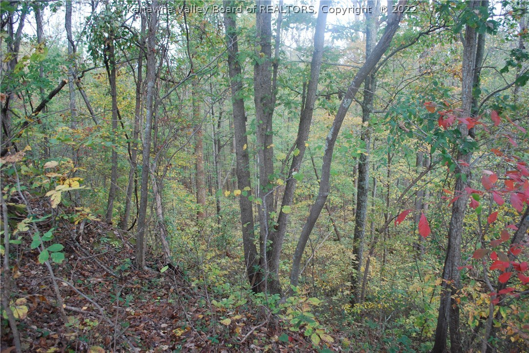 4122 Palestine Ridge Road Ashton, WV 25503 - Photo 6 of 26 Gallery Image 6