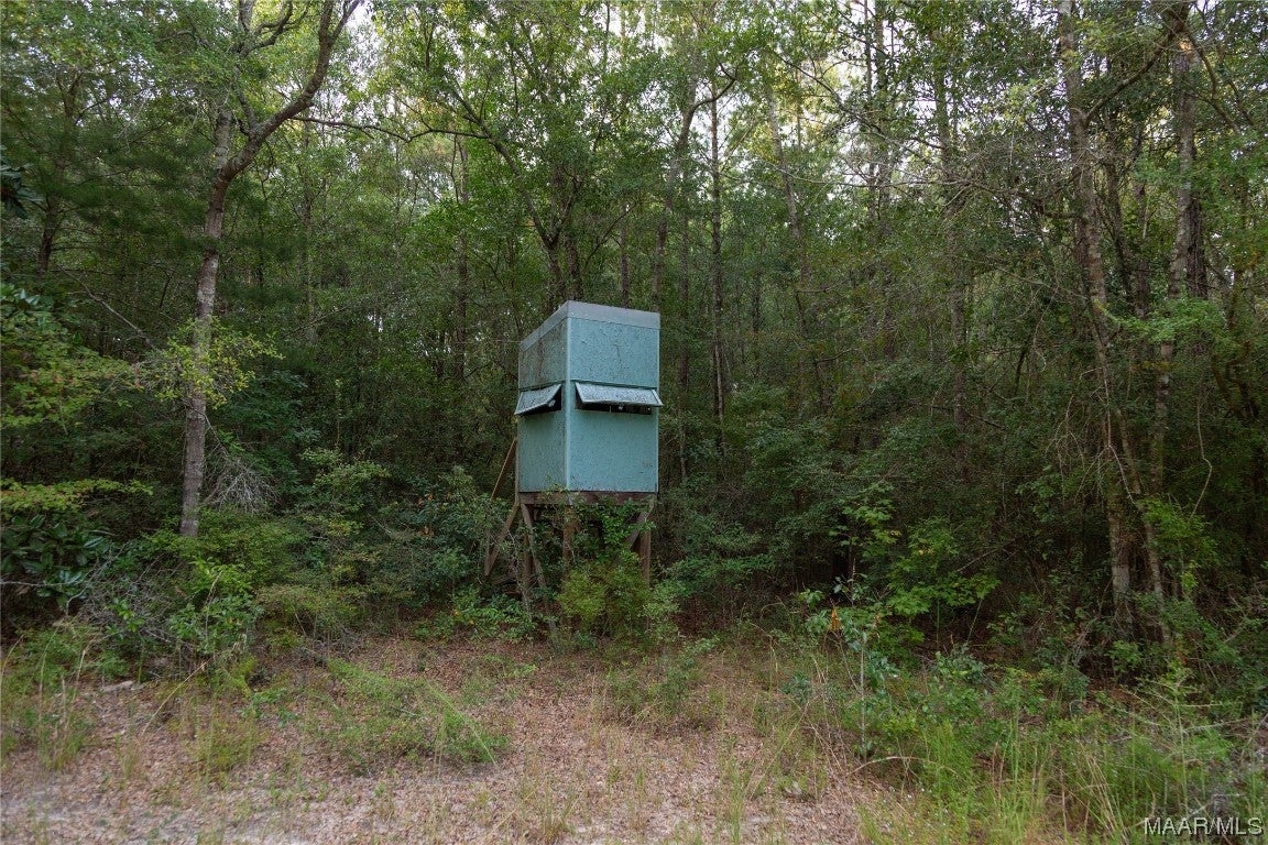 10 County Road 10 Samson, AL 36477 - Photo 9 of 22 Gallery Image 9