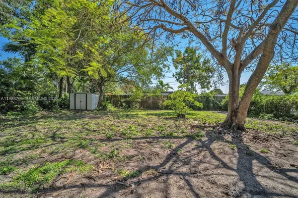 a view of a yard with plants and trees