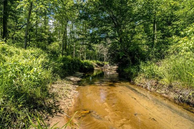 $362,500 | Lot 4 Green Creek Road, Schuyler, VA 22969