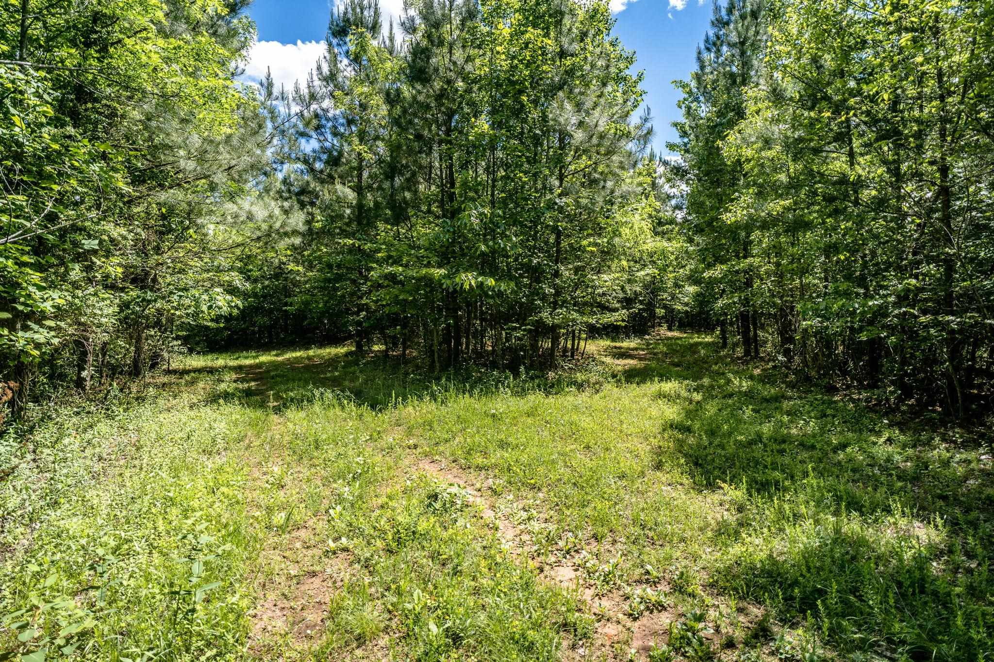 Lot 4 Green Creek Road Schuyler, VA 22969 - Photo 11 of 16 a view of outdoor space and yard
