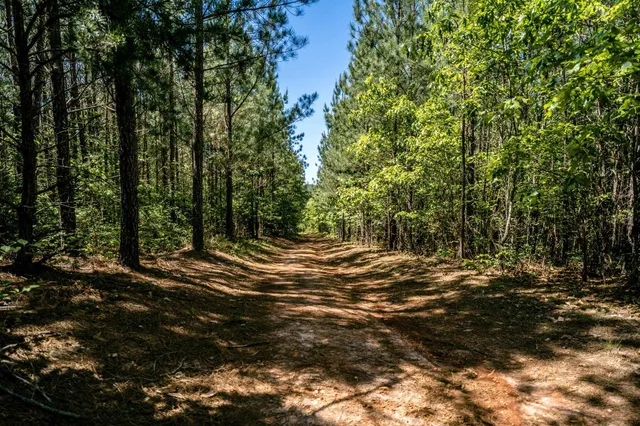 $362,500 | Lot 4 Green Creek Road, Schuyler, VA 22969