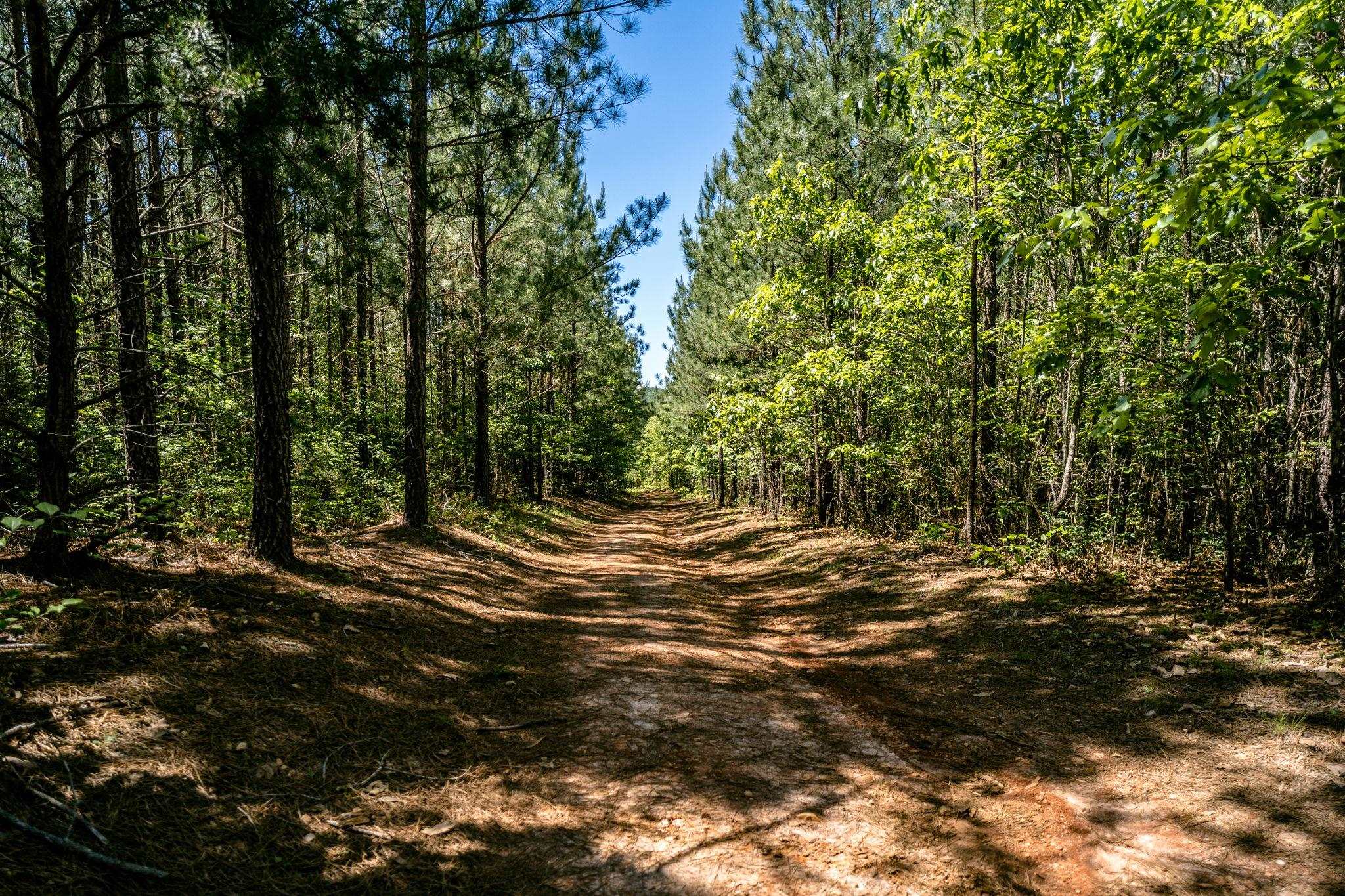 Lot 4 Green Creek Road Schuyler, VA 22969 - Photo 12 of 16 a view of outdoor space with trees