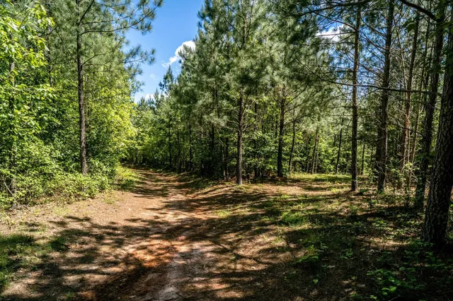 $362,500 | Lot 4 Green Creek Road, Schuyler, VA 22969