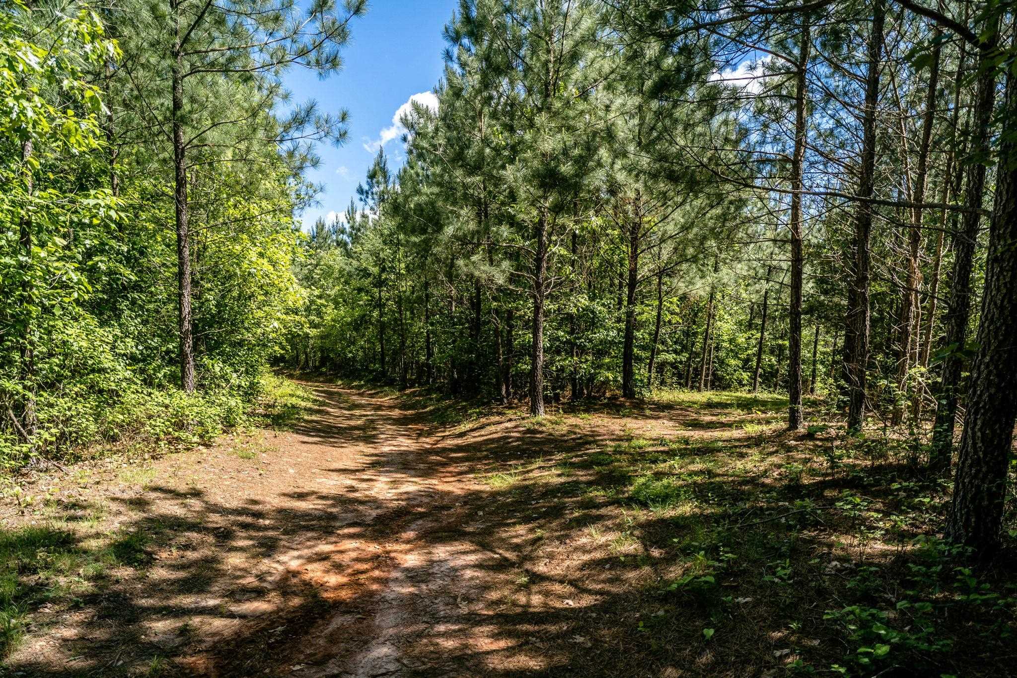 Lot 4 Green Creek Road Schuyler, VA 22969 - Photo 13 of 16 a view of a dirt road with trees