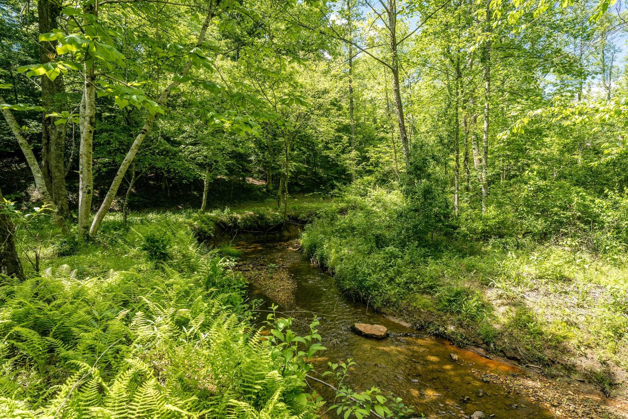 Lot 4 Green Creek Road Schuyler, VA 22969 - Photo 2 of 16 a view of a garden