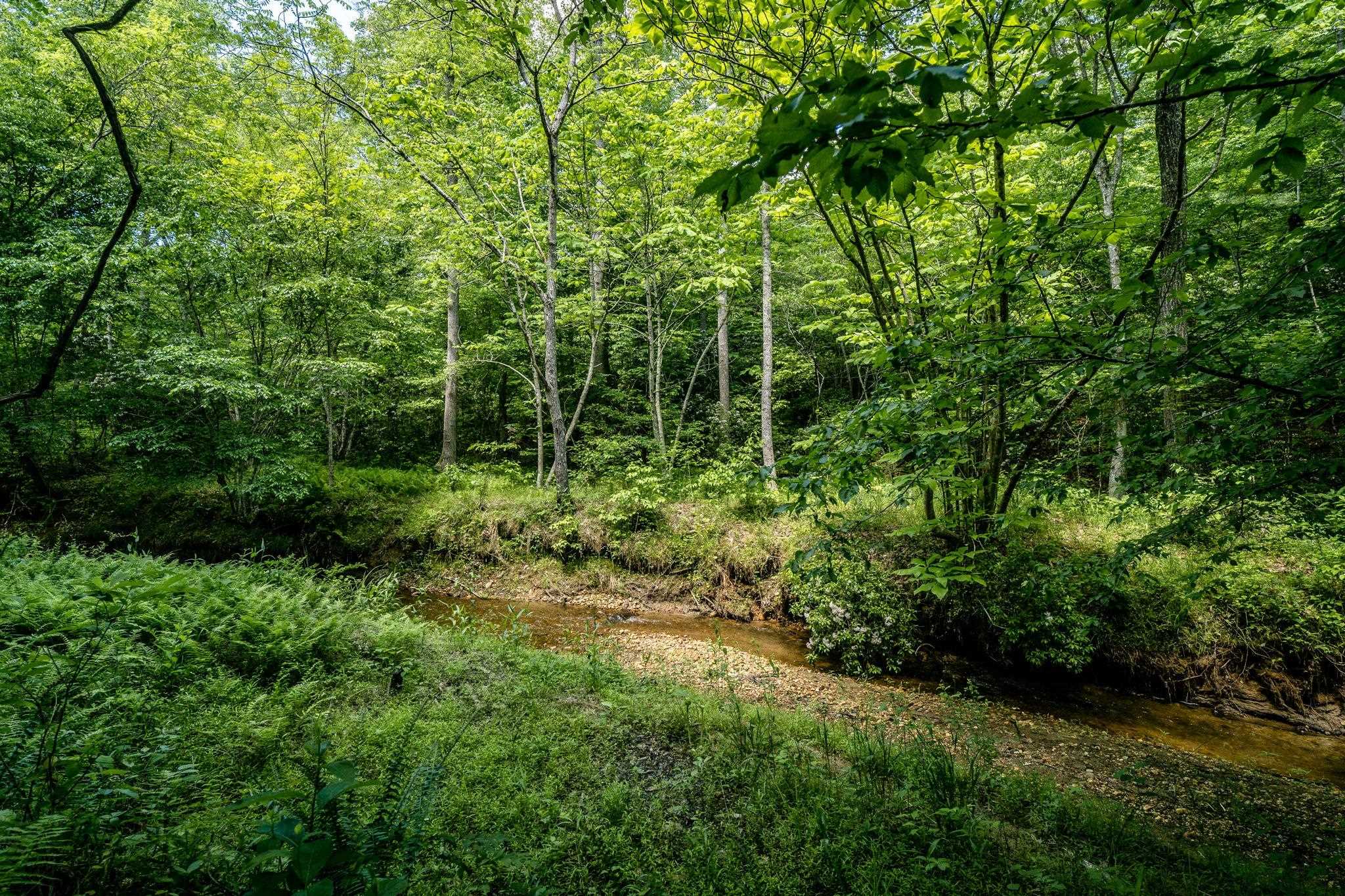 Lot 4 Green Creek Road Schuyler, VA 22969 - Photo 3 of 16 a view of outdoor space and green space