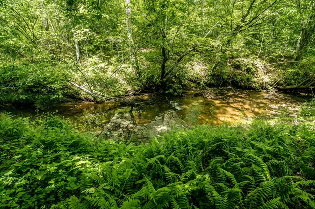 $362,500 | Lot 4 Green Creek Road, Schuyler, VA 22969