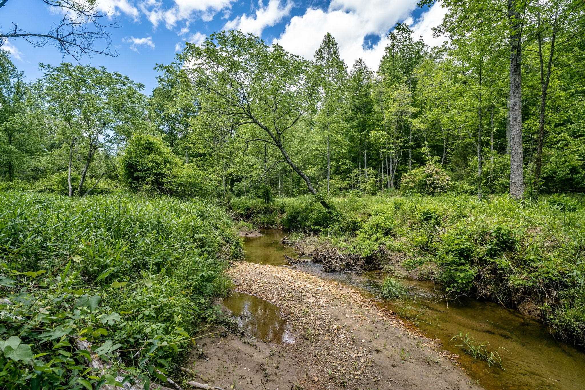 Lot 4 Green Creek Road Schuyler, VA 22969 - Photo 6 of 16 a view of a forest with a tree