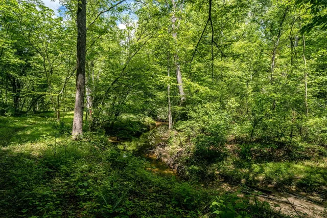 $362,500 | Lot 4 Green Creek Road, Schuyler, VA 22969