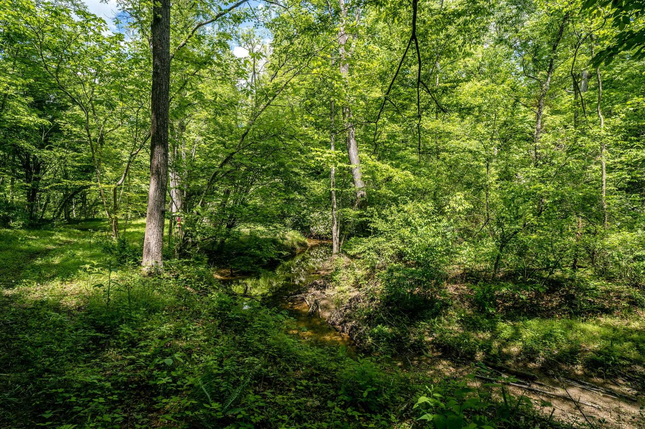 Lot 4 Green Creek Road Schuyler, VA 22969 - Photo 7 of 16 a view of a lush green forest