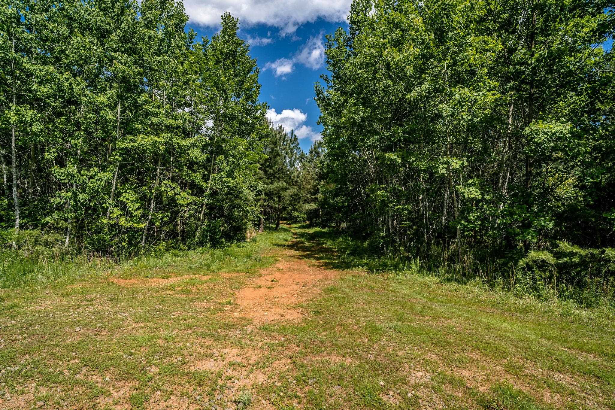 Lot 4 Green Creek Road Schuyler, VA 22969 - Photo 8 of 16 a view of a yard with a tree
