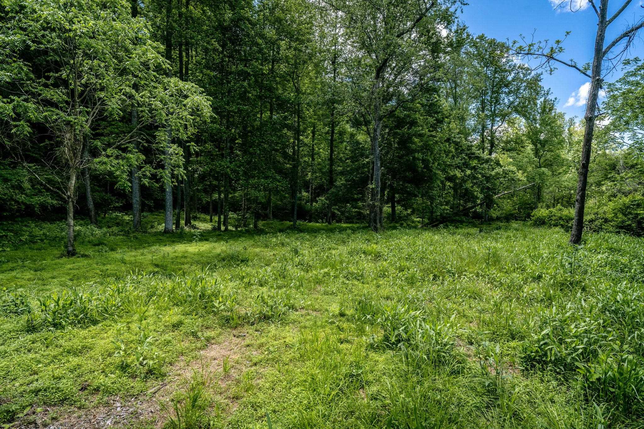 Lot 4 Green Creek Road Schuyler, VA 22969 - Photo 10 of 16 a view of outdoor space with deck and yard