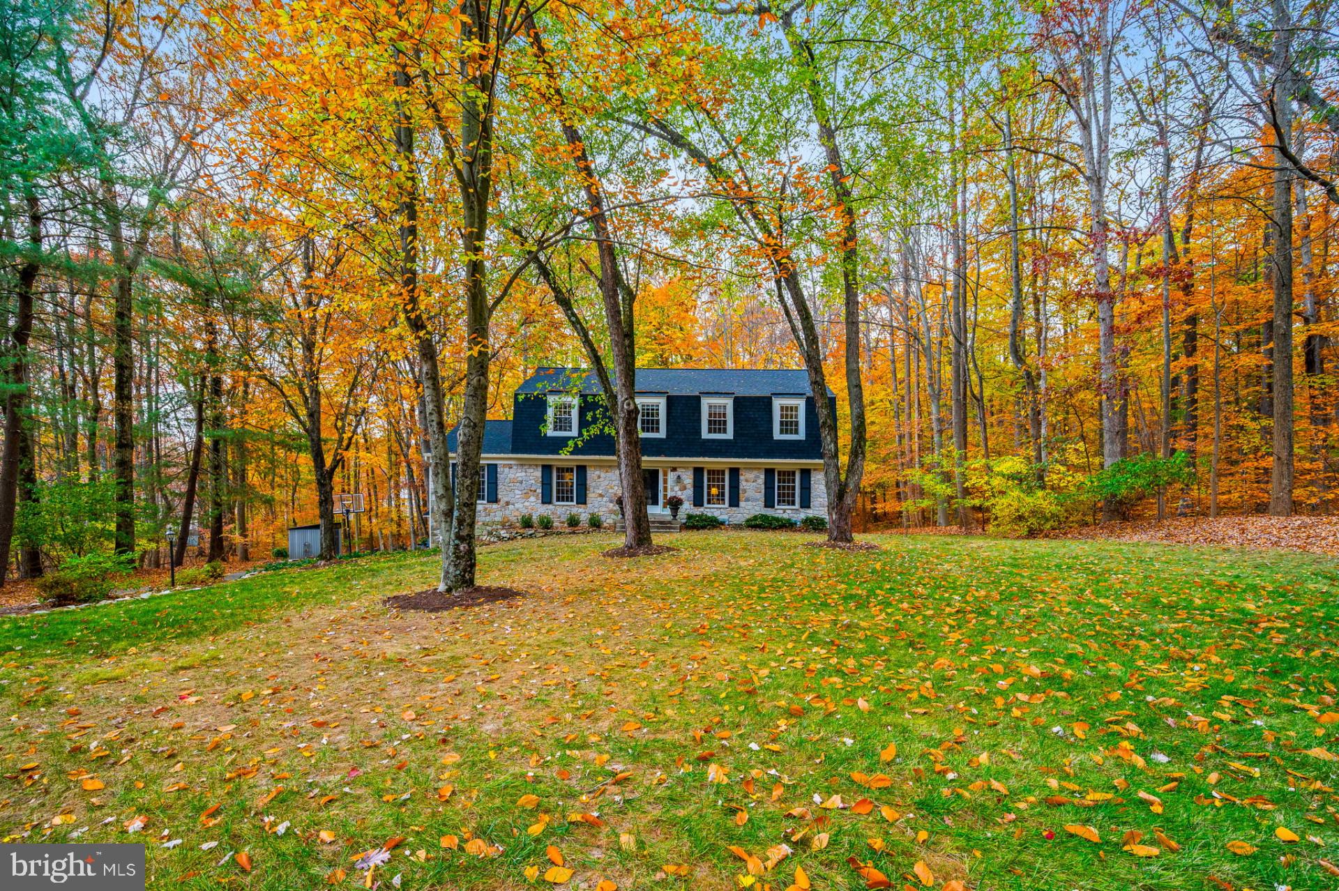 6 Spruce Road Malvern, PA 19355 - Photo 3 of 44 Gallery Image 3