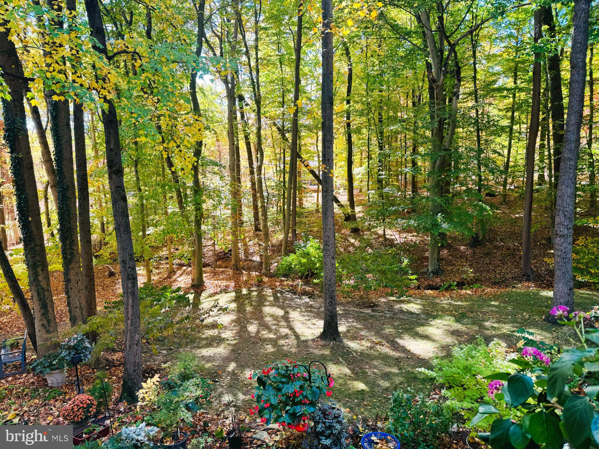 6 Spruce Road Malvern, PA 19355 - Photo 41 of 44 Gallery Image 41