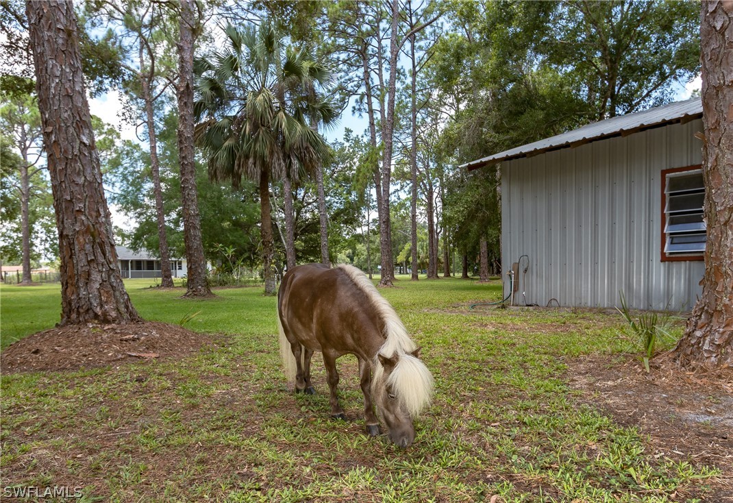 15071 Orange River Road Fort Myers, FL 33905 - Photo 25 of 34 Gallery Image 25