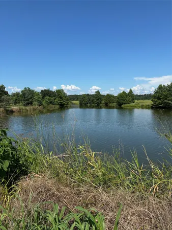 a view of a lake with a city