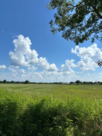 a view of a lake with houses in the back