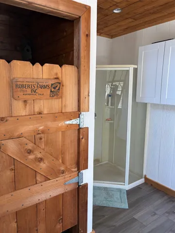 a view of a lake in middle of forest