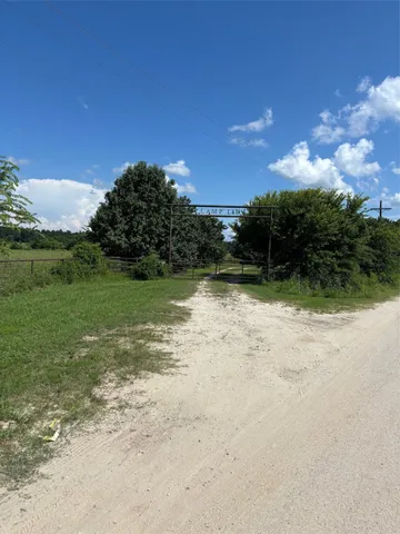 a view of a big yard with plants and large trees