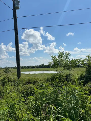 a view of a lake from a yard