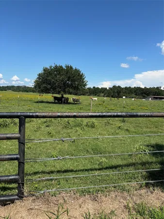 a view of a lake from a yard