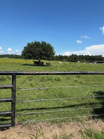 a view of a lake from a yard