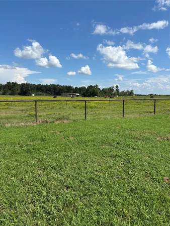 a view of a lake from a yard