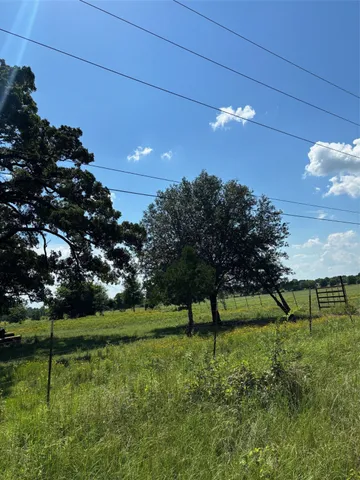 a view of a garden with a tree