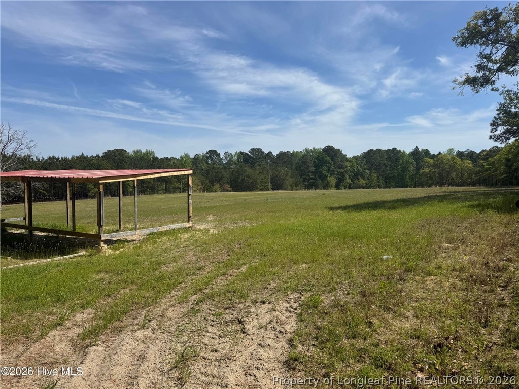 490 Springhill Church Road Hamlet, NC 28345 - Photo 18 of 49 Gallery Image 18