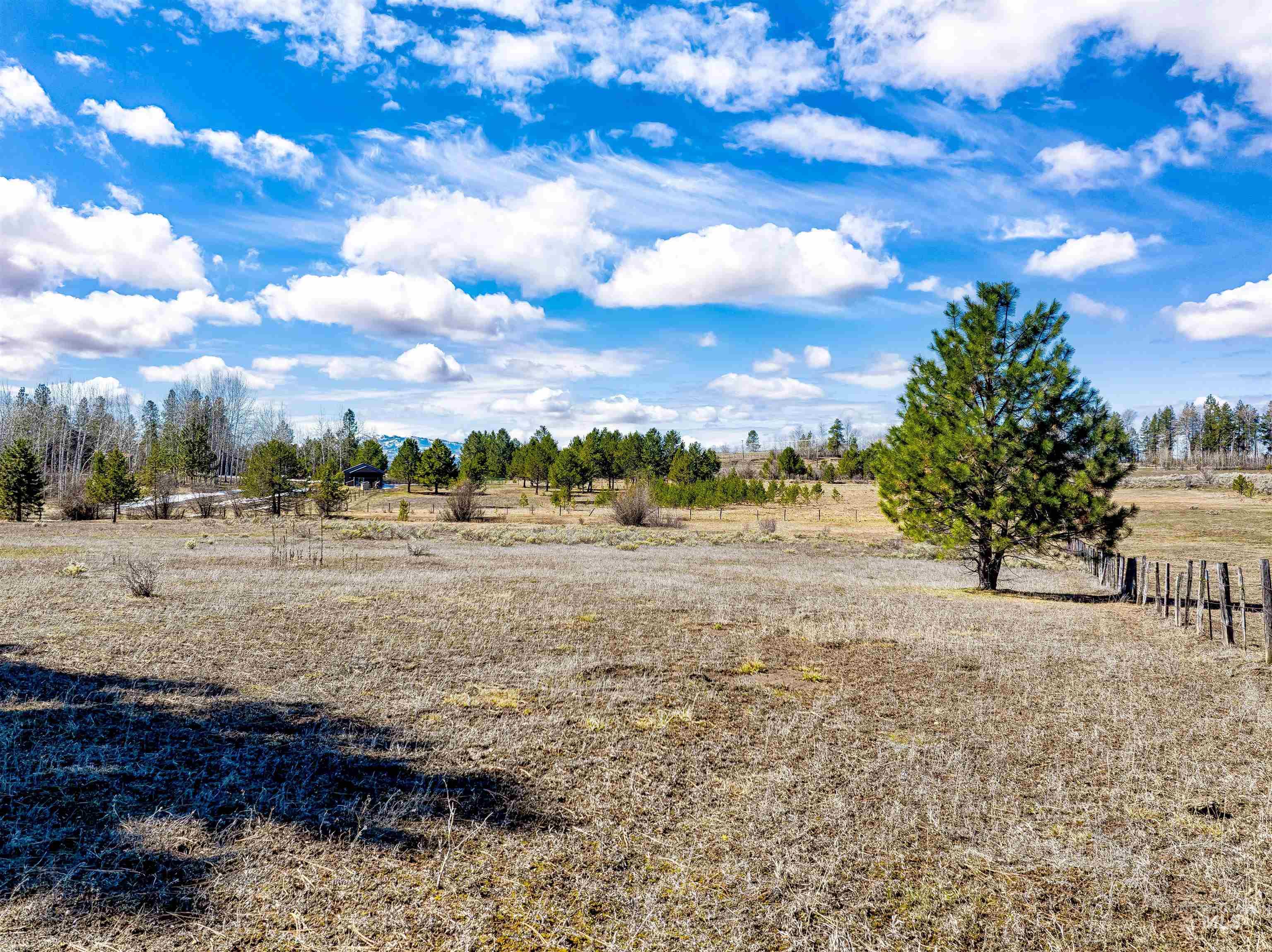 14055 Deerfield Road McCall, ID 83638 - Photo 12 of 19 View of yard featuring a view of countryside