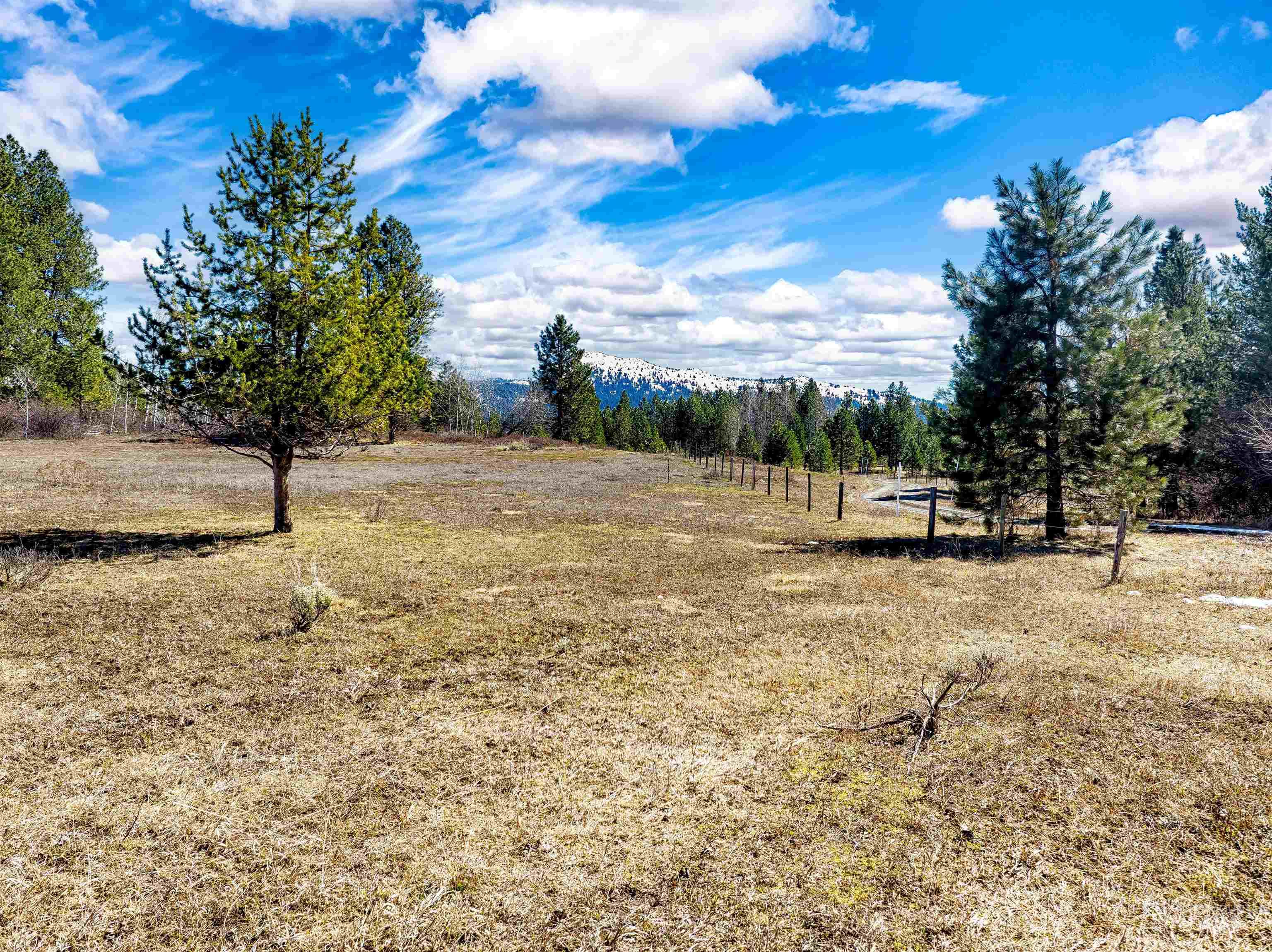 14055 Deerfield Road McCall, ID 83638 - Photo 13 of 19 View of grassy yard featuring a view of countryside