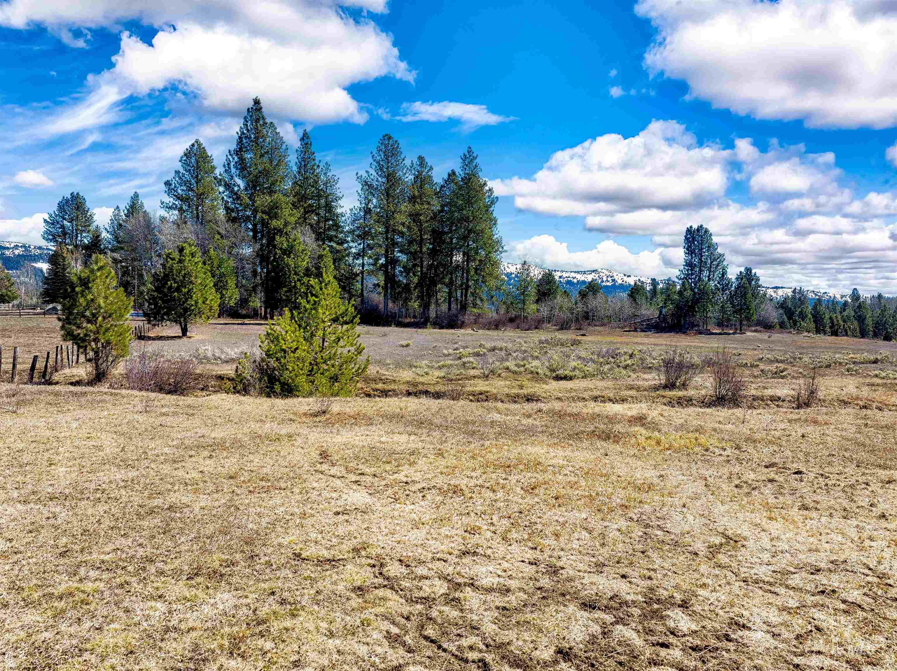14055 Deerfield Road McCall, ID 83638 - Photo 14 of 19 View of yard with a view of countryside