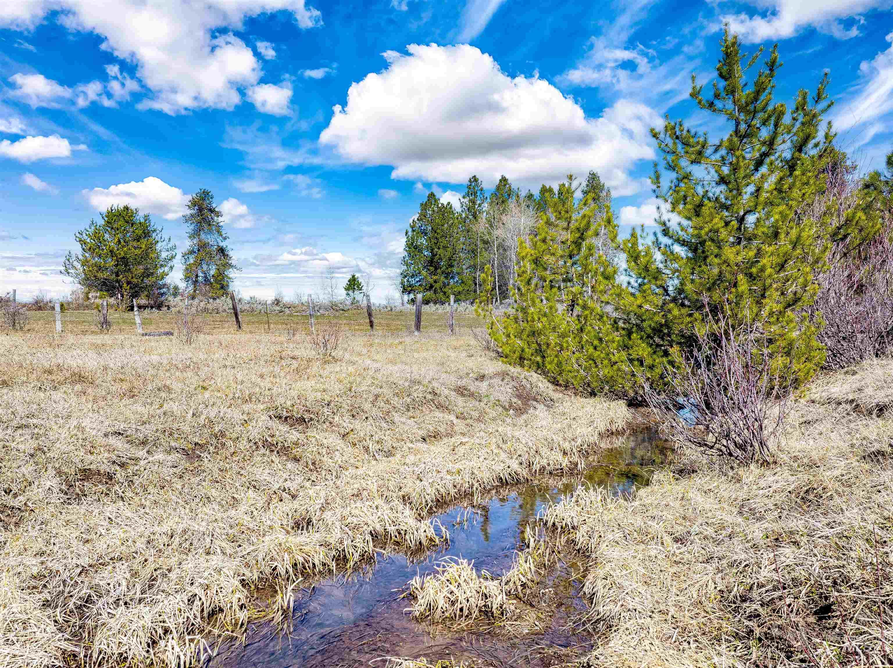 14055 Deerfield Road McCall, ID 83638 - Photo 18 of 19 View of nature