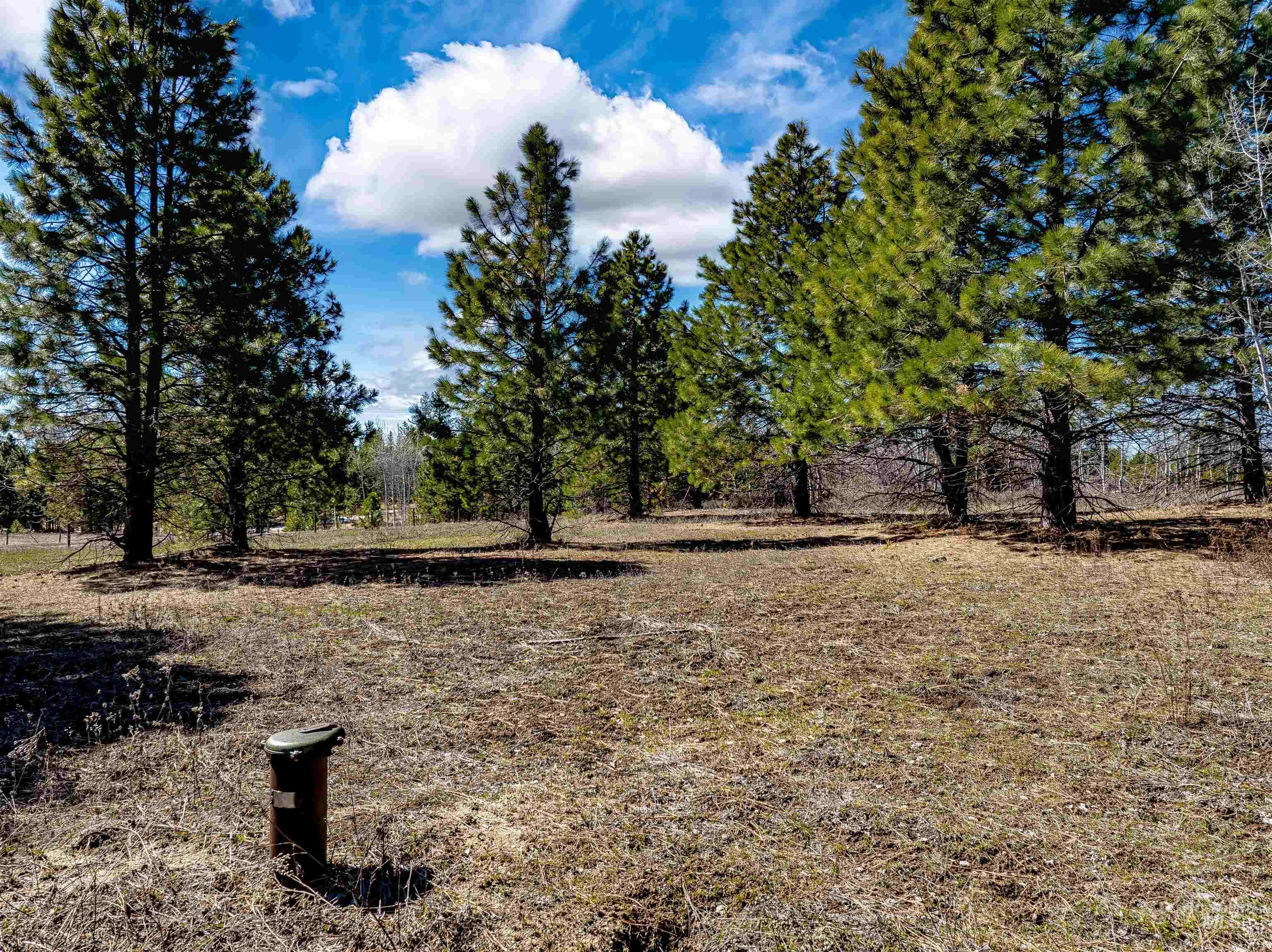 14055 Deerfield Road McCall, ID 83638 - Photo 19 of 19 View of local wilderness