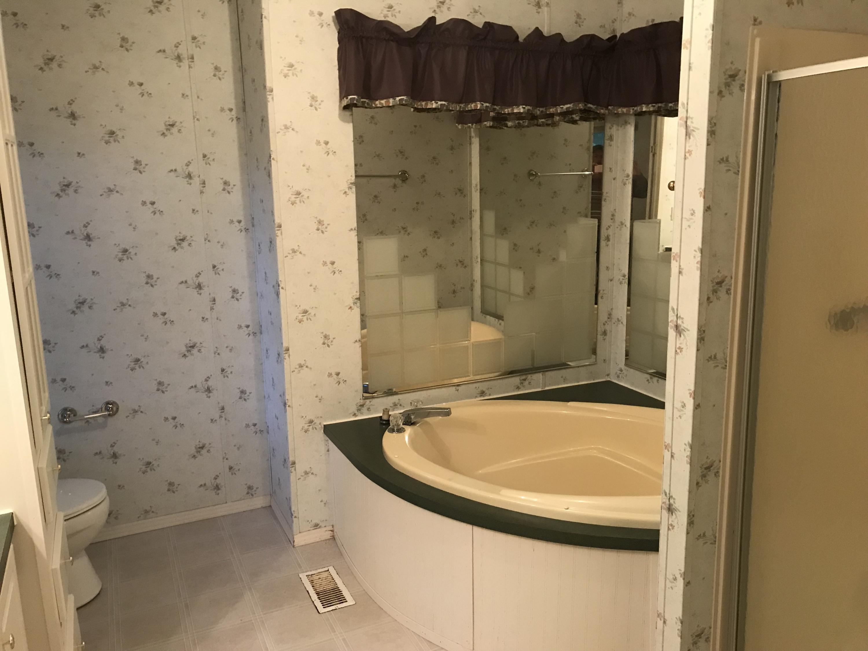 1259 Lees Mill Park Road Goode, VA 24556 - Photo 9 of 10 master bath
