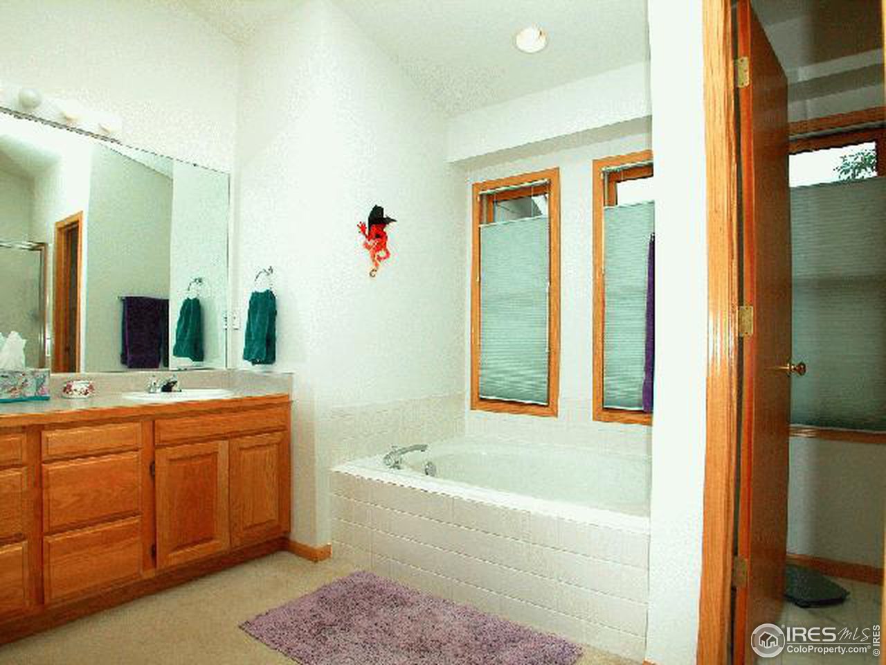 3767 Carrington Road Fort Collins, CO 80525 - Photo 8 of 11 Gallery Image 8