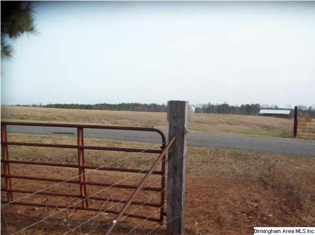 New Prospect Church Road, Unit 16 Horton, AL 35980 - Photo 5 of 20