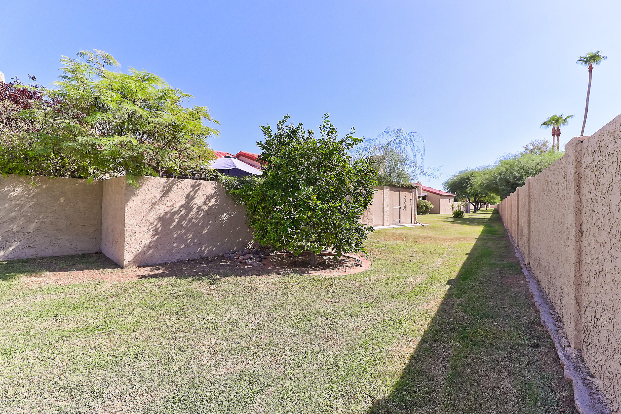 2059 East Brown Road, Unit 34 Mesa, AZ 85213 - Photo 33 of 36 behind backyard