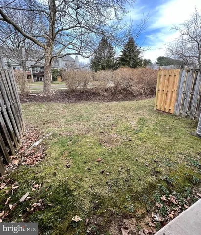 a view of a yard with plants and trees