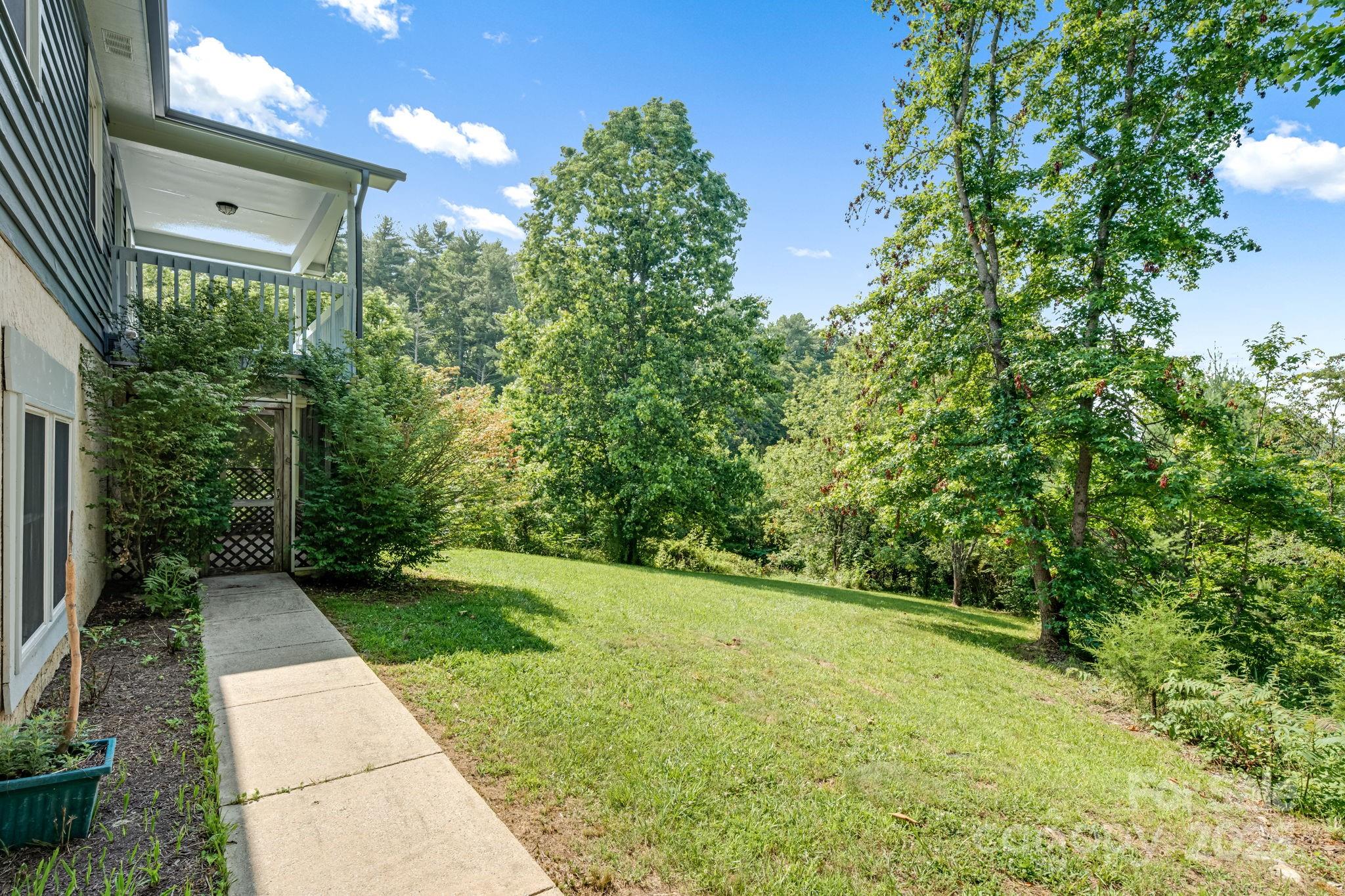 1360 Jupiter Road Weaverville, NC 28787 - Photo 31 of 39 a view of a backyard with potted plants and large trees