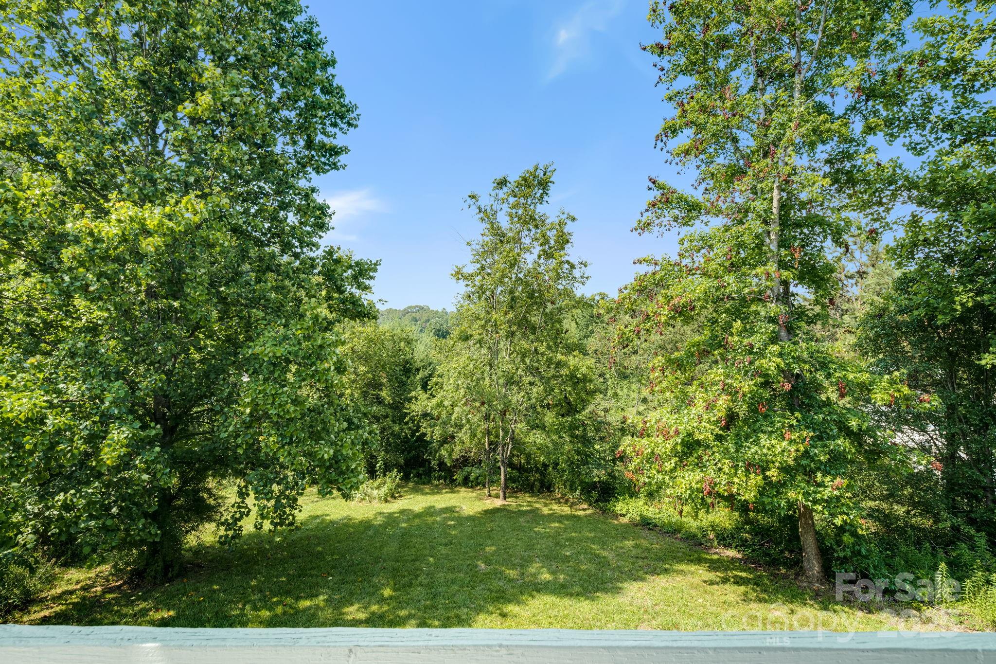 1360 Jupiter Road Weaverville, NC 28787 - Photo 33 of 39 a view of a yard