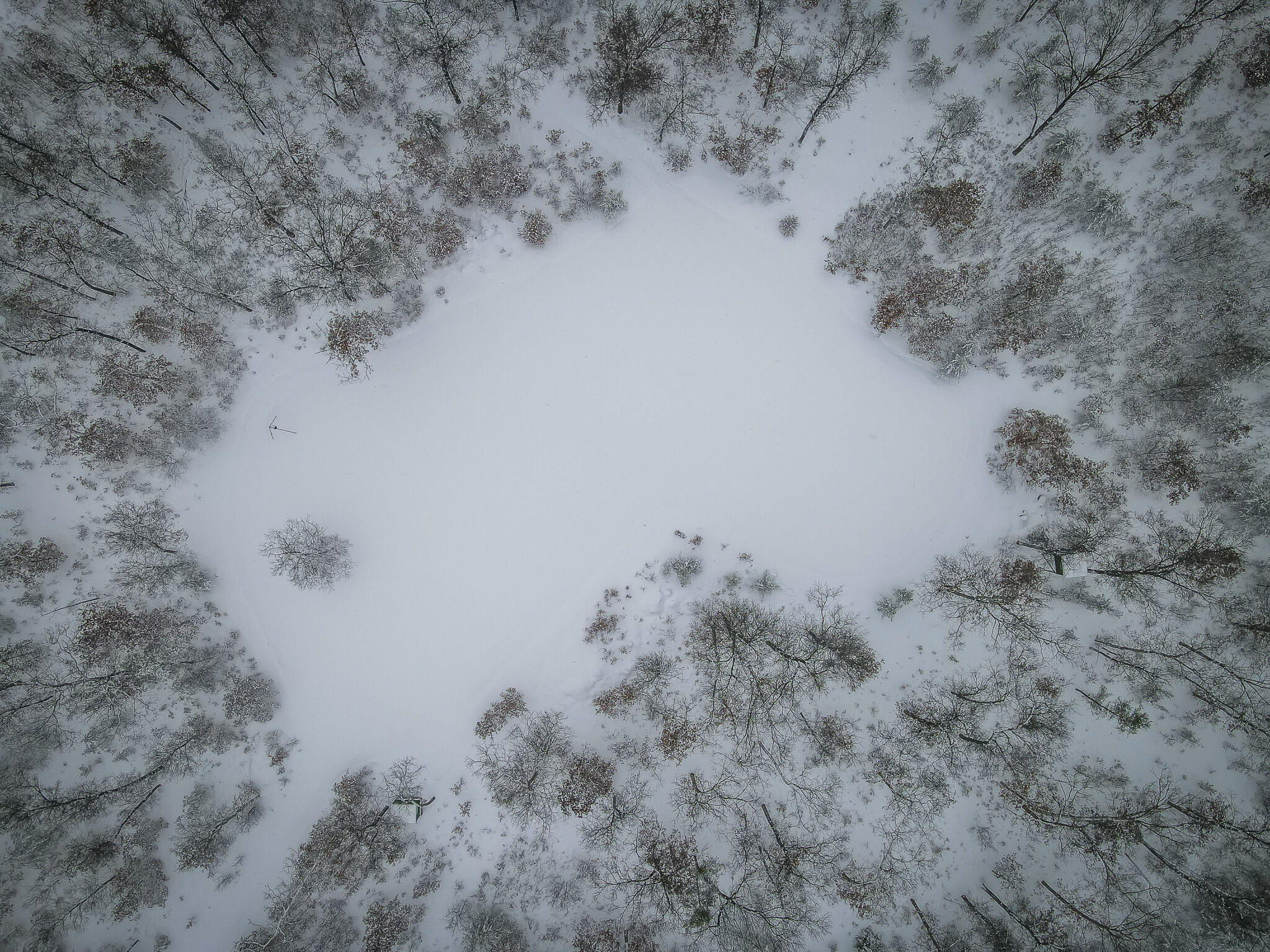 V/l Rybicki Road Free Soil, MI 49411 - Photo 15 of 27 DJI_0948