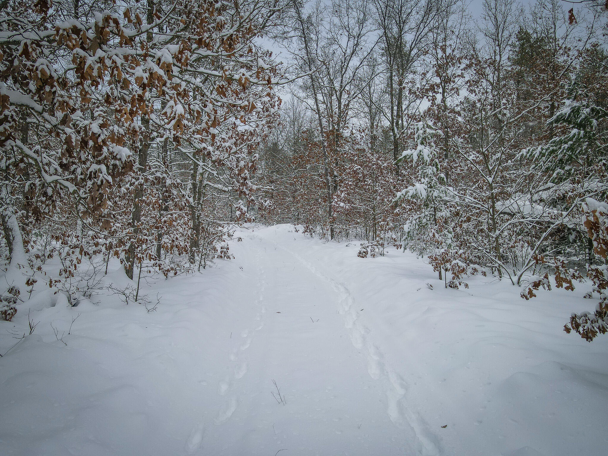 V/l Rybicki Road Free Soil, MI 49411 - Photo 17 of 27 DJI_0946