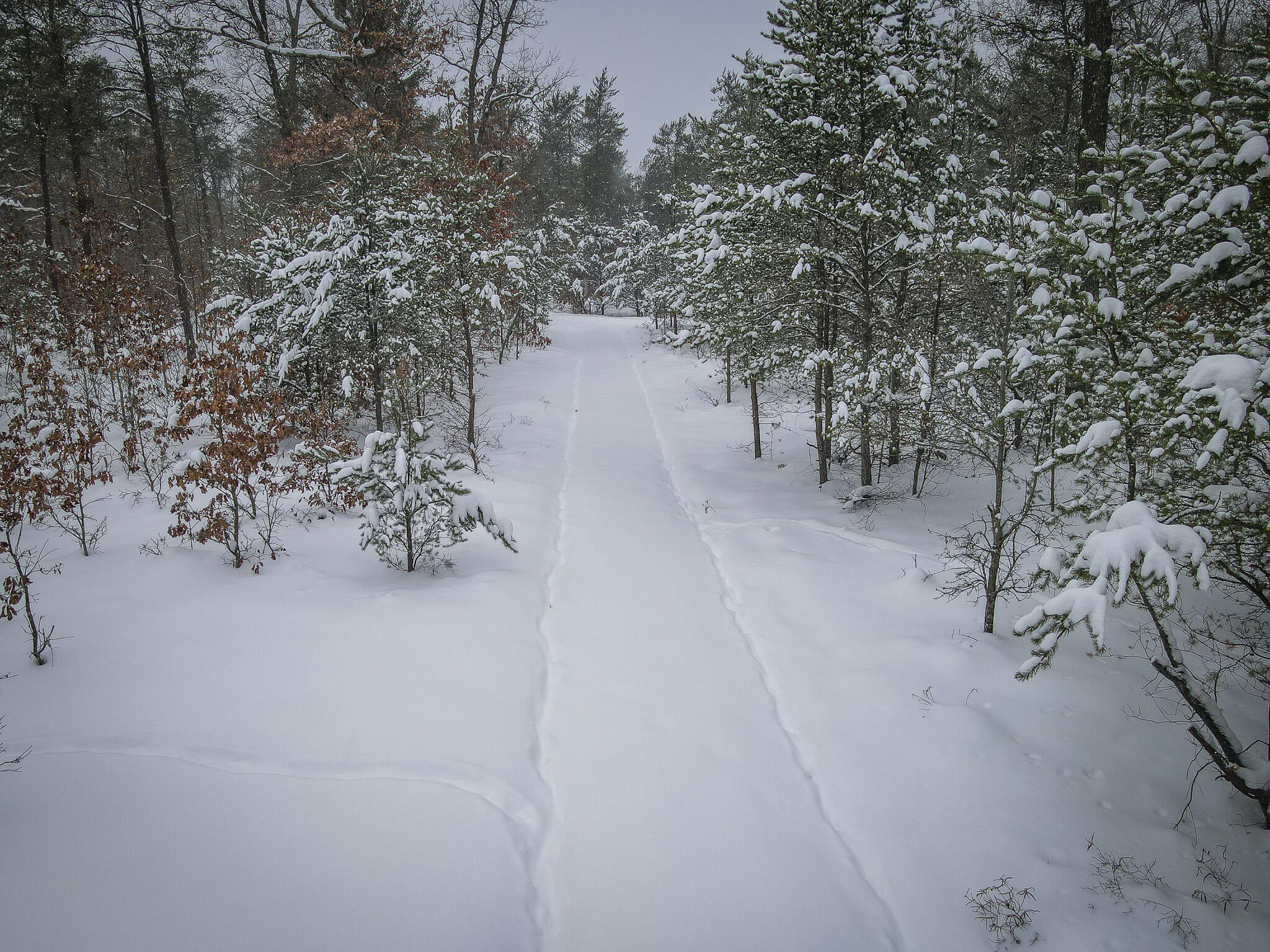 V/l Rybicki Road Free Soil, MI 49411 - Photo 19 of 27 DJI_0003
