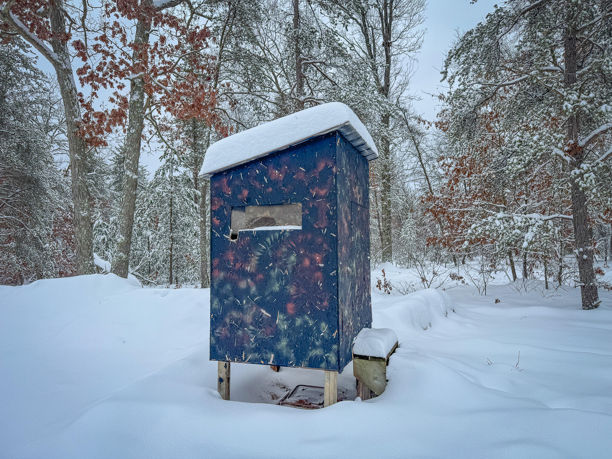 V/l Rybicki Road Free Soil, MI 49411 - Photo 20 of 27 IMG_5140