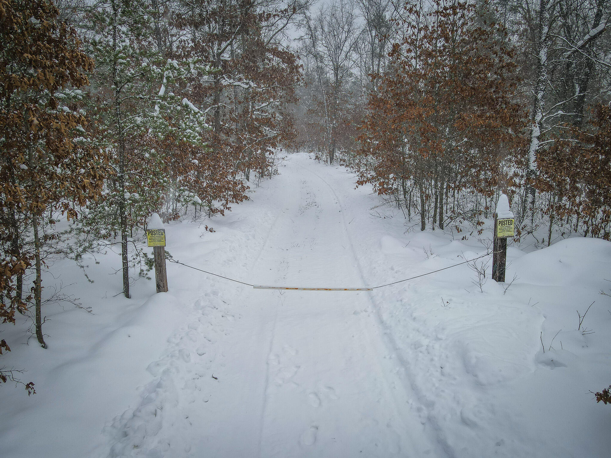 V/l Rybicki Road Free Soil, MI 49411 - Photo 2 of 27 DJI_0994